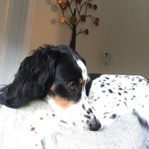 Meet your Posher, Kait